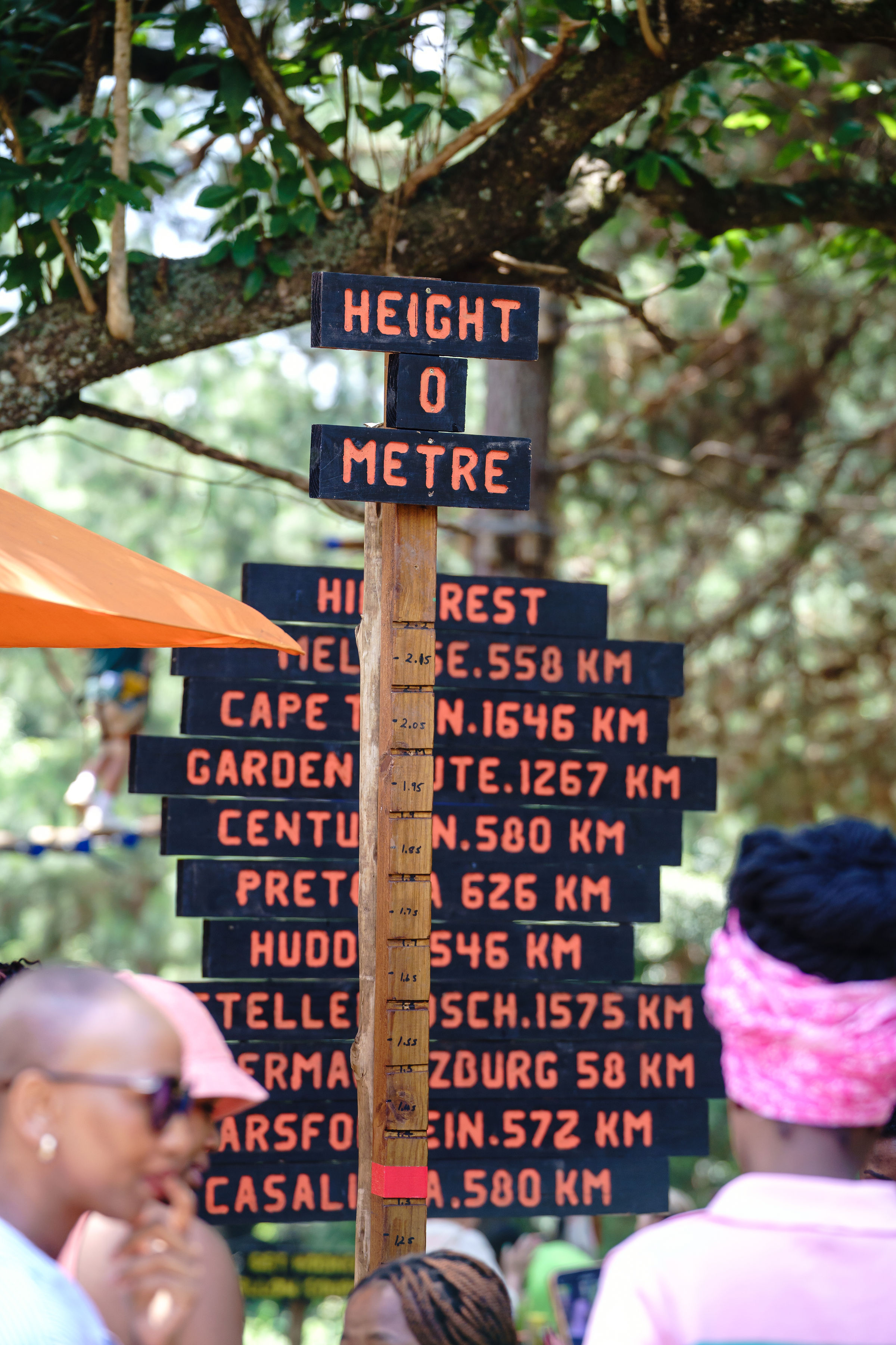 Parcours accrobranche dans les arbres de Dakar